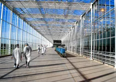 The greenhouse is built in the south of the Netherlands on a site specially dedicated to greenhouse horticulture.