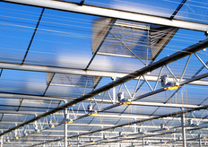 There are less windows, to keep as much of the energy inside and to keep harmfull pests outside. The windows are equiped with insect nets.