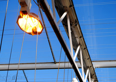 The crop is being lighted with Son-T assimilation lights. A screen system is installed to avoid light pollution.