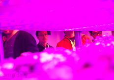 "Everybody sing: "Pink is my favourite colour"