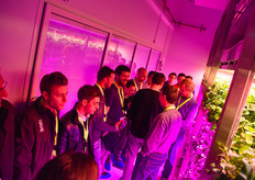 The strawberry project generated a lot of interest.