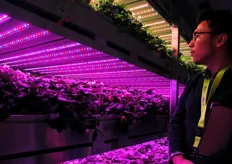 The facility uses connected LED systems that are fully customizable, allowing for the development of ‘growth recipes’ tailored to each crop variety or producers’ requirements.