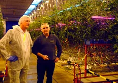 Marc Staring, Meteor Systems and grower Wim Peters