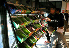 The product line of Koppert Cress: combining nutritious value and taste.