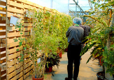 And then we went into Willy Wonka's magical garden. Everything in this garden is can be tasted.