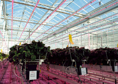 Different types of LED settings are tested.