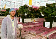 Romanian grower Christian Ghiga of Semtop