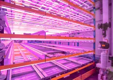 A robot (on the right) collects the cultivation crates. The system of Urban Crops can be build in settings with towers of up to 25 layers. When building a system with 30 of these towers a maximum production of 126,000 crops can be produced per day ( 46.9 million crops per year)