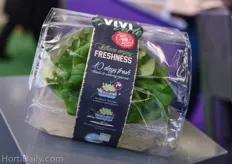 This head of lettuce is cultivated directly in its end packaging!
