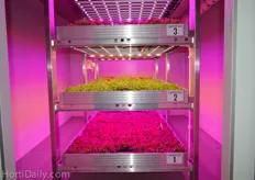 Light4Food placed the 'greenhouse container' to show their vertical farming.