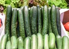 This is the typical cucumber type that can be found in many of the Japanese greenhouses. The Gracie variety is one of the varieties that comes from the Japanese breeding pipeline of Rijk Zwaan.
