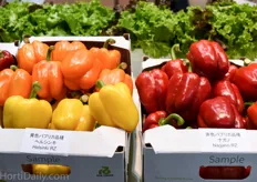The blocky bell pepper is not common in Japan, but Rijk Zwaan’s standard varieties like Nagano and Helsinki can be found inside Japanese greenhouses more and more.