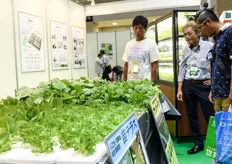 Japanese styrofoam hydroponic rafts for aquaponic cultivation.