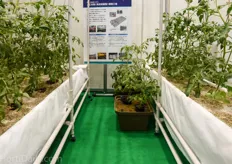 Hydroponic container system with perlite substrate from Espec.