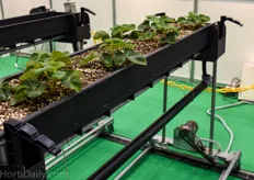 Low cost movable hydroponic gutter system.