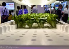 Panasonic’s approach; vertical farming with stackable styrofoam trays.