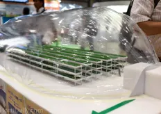 Inflatable greenhouse vertical farm?