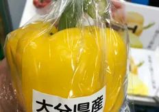 A big yellow 'Dutch Style' grown bell pepper; grown by Japanese grower Takafumi Matsuo.