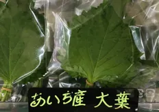 The Perilla; better known as Japanese basil; you will find this leaf a lot in sashimi dishes!
