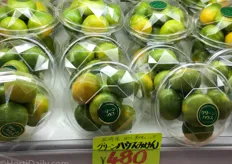 Six limes in luxury packaging for €4,23.