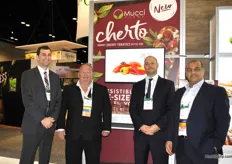 Stephen Cowan, Rob Medcalf, Steve Zaccardi and Danny Elias, Mucci Farms, with the new Cherto cherry tomato on the vine