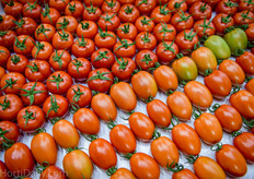 Amazing to see such uniform fruits and quality.