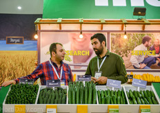 Fito Seeds has an extensive catalog with cucumber varieties.