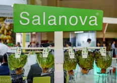 Salanova lettuce at the booth of Rijk Zwaan.