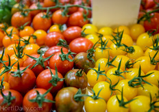 Specialty varieties from Axia Seeds.