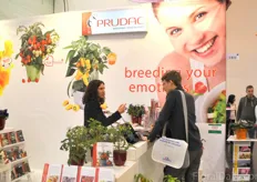 Showing the new varieties of Prudac