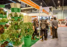 Also vertical farming is gaining attention of small scale Thai growers who are looking for an innovative concept.