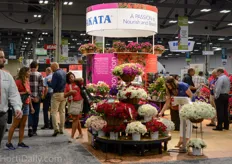​ Impressive colors and varieties as the Sakata booth this year.