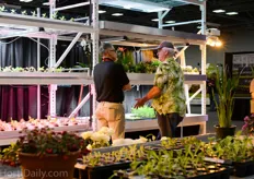​ New at Cultivate were several companies that where showcasing vertical farming setups.