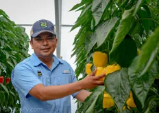 Nazario Medina, product specialist pepper for protected crops at Enza Zaden.