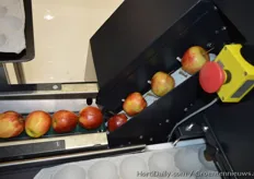 Greefa's SmartPackr2: Step 1: supply of sorted apples