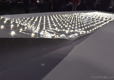 GrowFilm is an indoor LED grow light in blanket form