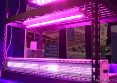 And of course their lighting solutions!