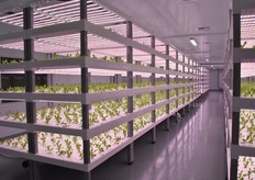 Later on more on this growth facility.