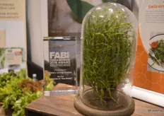 "Pete's Living Greens won the Food & Beverage 2018 award for its Salicornia or "Sea Beans"."
