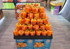 Display of Aloha peppers. The pepper variety has been in the making for six years.