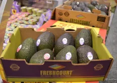 The new smaller 2 kg. box of avocados from Freshcourt targets foodservice and specialty stores who don't move enough avocados to buy a large double-layered box.