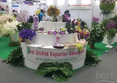 And various multi-coloured orchids shown by the Thai Orchid Exporter Association