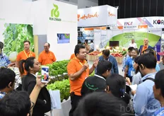 Breeder Rijk Zwaan recently started a Vietnames subsidiary. The company both offers varieties suitable for the market as breeds especially for the region.