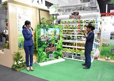 Explanation on hydroponic growing by Thai Advance Agri Tech Co.
