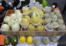 Also melons are an important crop