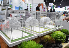 What's your choice? An umbrella, a sawtooth or a tunnel?