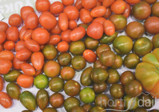 Of course a lot attention to the snack tomatoes!