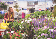 Stop & smell the flowers! 