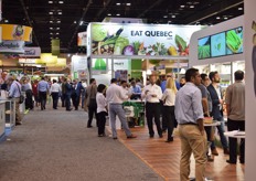 An overview of the hallway