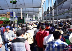 Patience is a virtue...